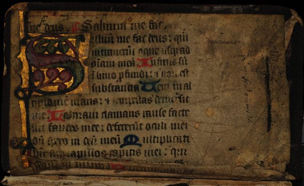 Comment débuter dans la collection et la préservation de manuscrits enluminés ?